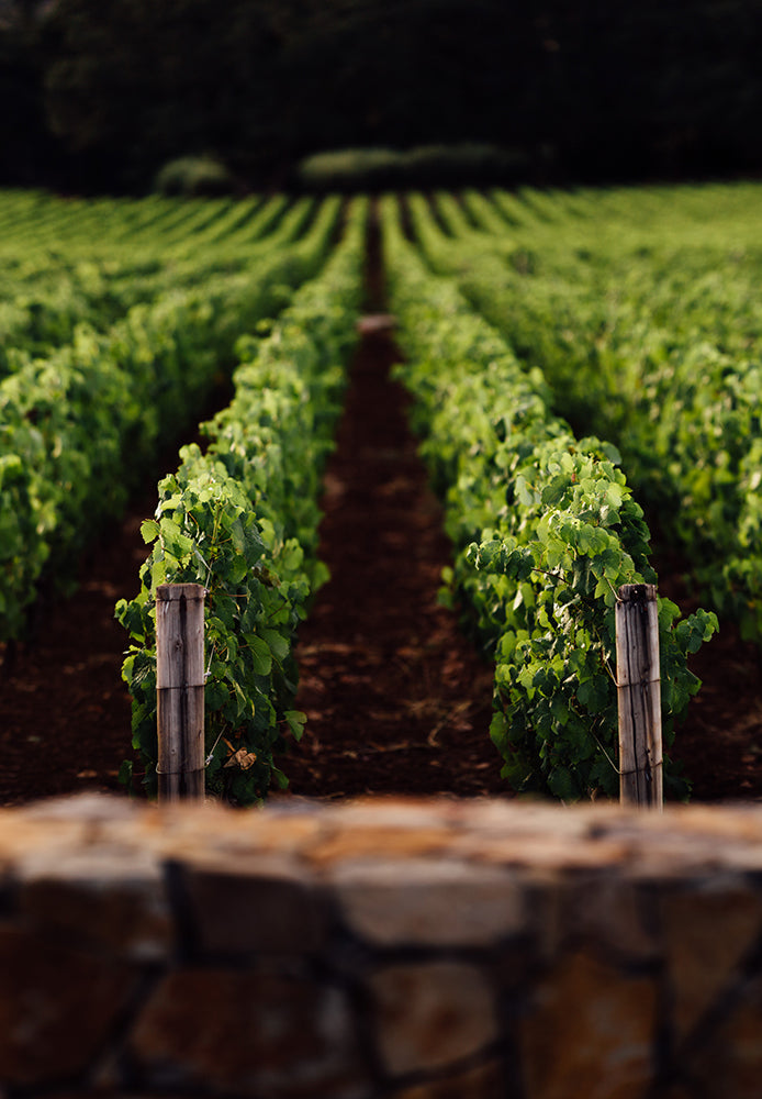 Rudd Estate | A Shared Way of Life