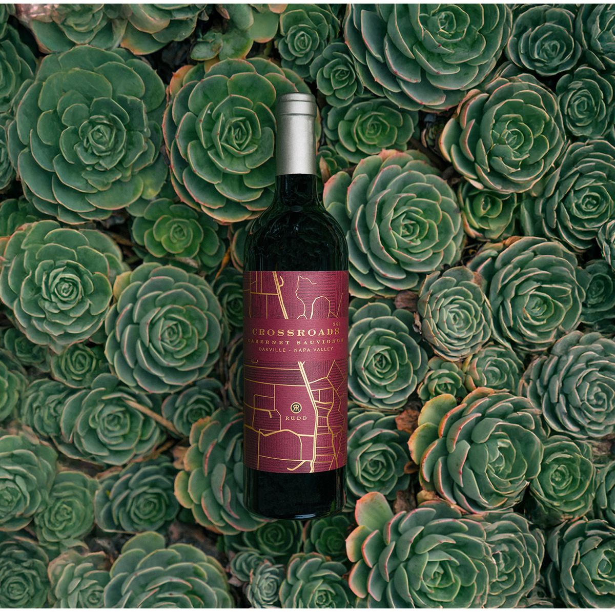 Cabernet Sauvignon