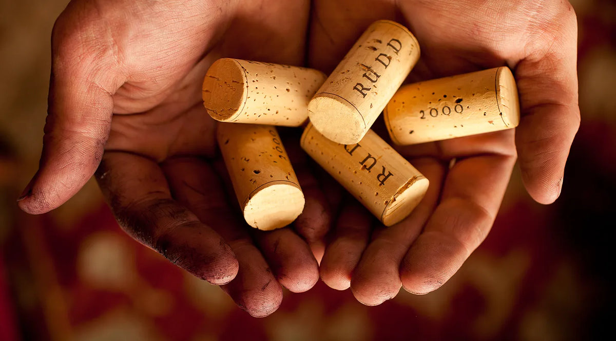 wines hero