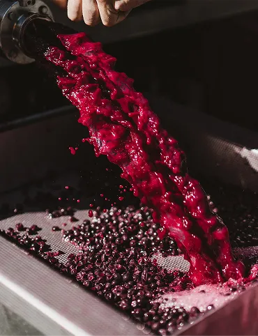 wine varietals